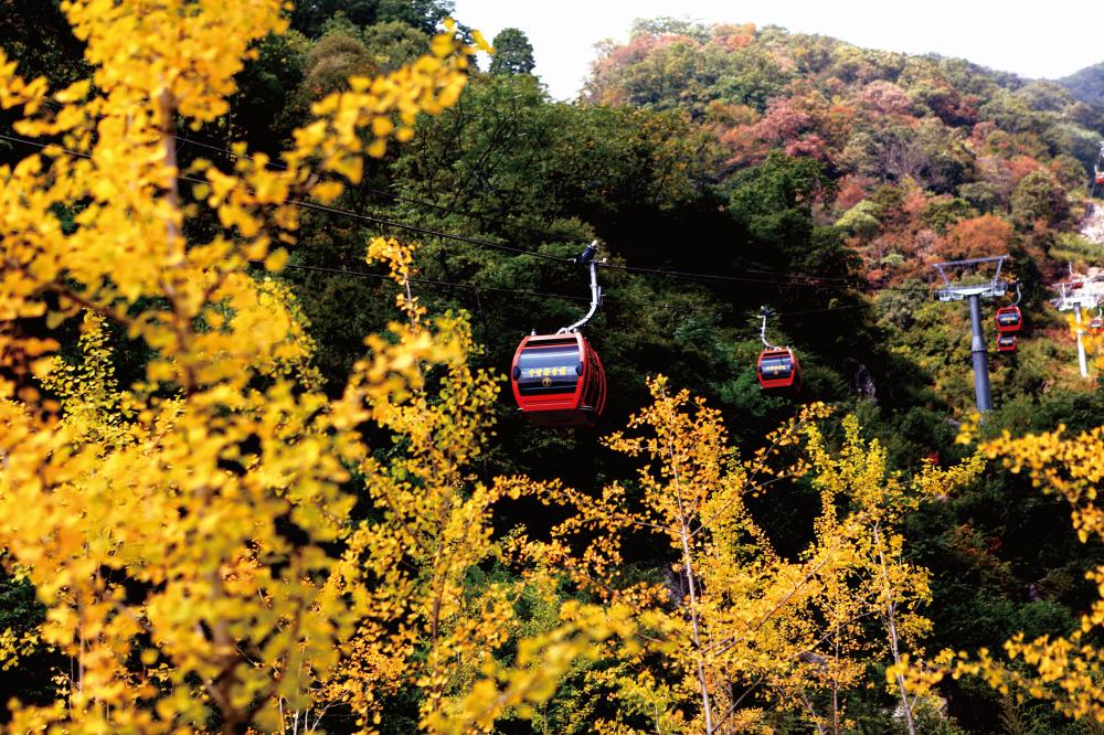 牛背梁索道，高鈺捷，15051965357,微信同手機號，QQ296851829 (6)(1).jpg